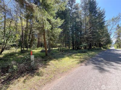 392 Holgerson Road #Lot 3, Sequim, WA 98382 - Photo 5
