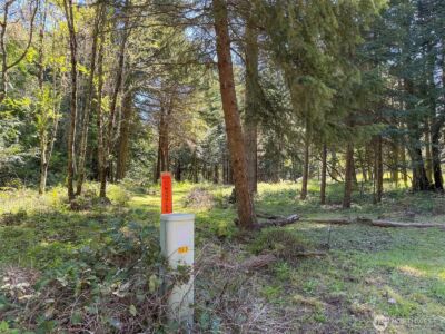 392 Holgerson Road #Lot 3, Sequim, WA 98382 - Photo 6
