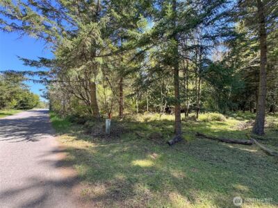 392 Holgerson Road #Lot 3, Sequim, WA 98382 - Photo 7