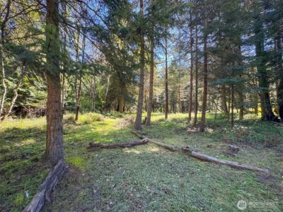 392 Holgerson Road #Lot 3, Sequim, WA 98382 - Photo 8