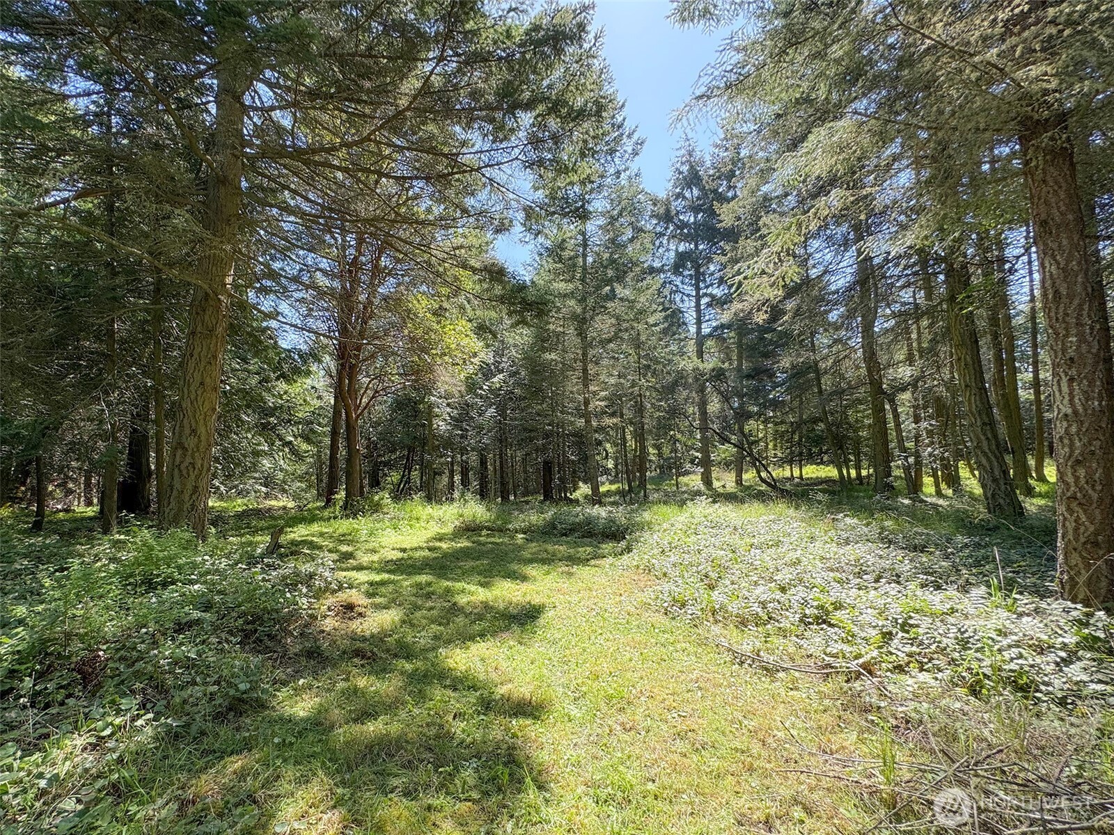 392 Holgerson Road #Lot 3, Sequim, WA 98382