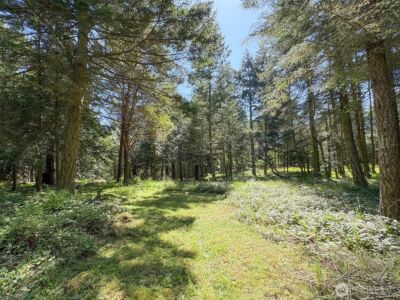 392 Holgerson Road #Lot 3, Sequim, WA 98382 - Photo 9