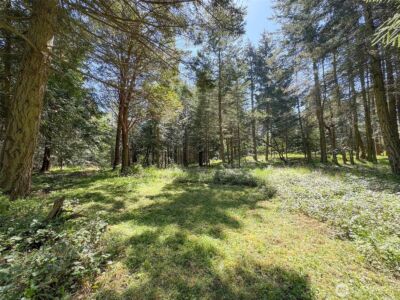 392 Holgerson Road #Lot 3, Sequim, WA 98382 - Photo 10