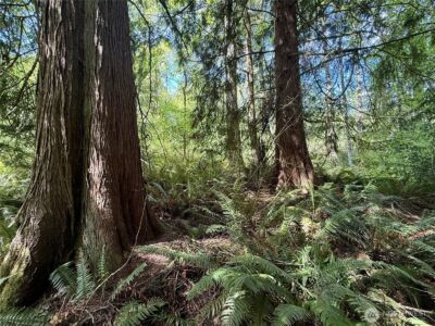 5162 Phillips Road SE, Port Orchard, WA 98367