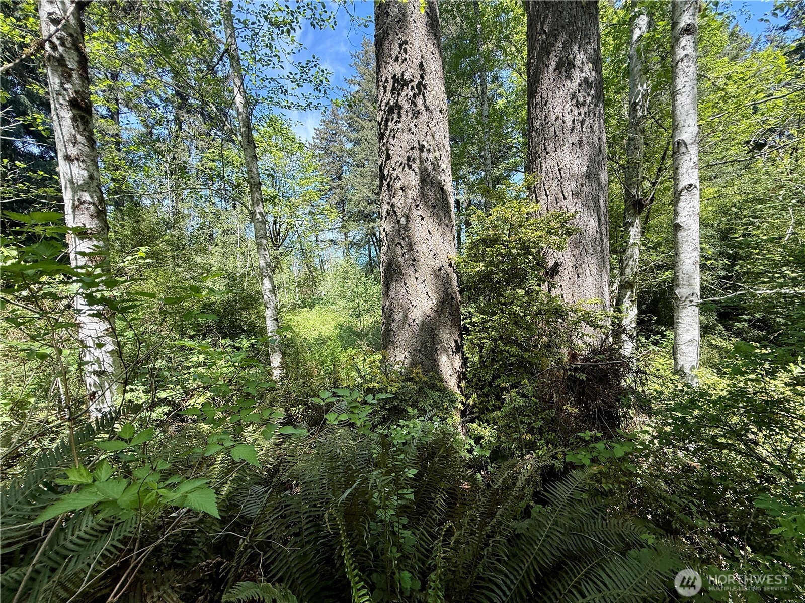 5162 Phillips Road SE, Port Orchard, WA 98367