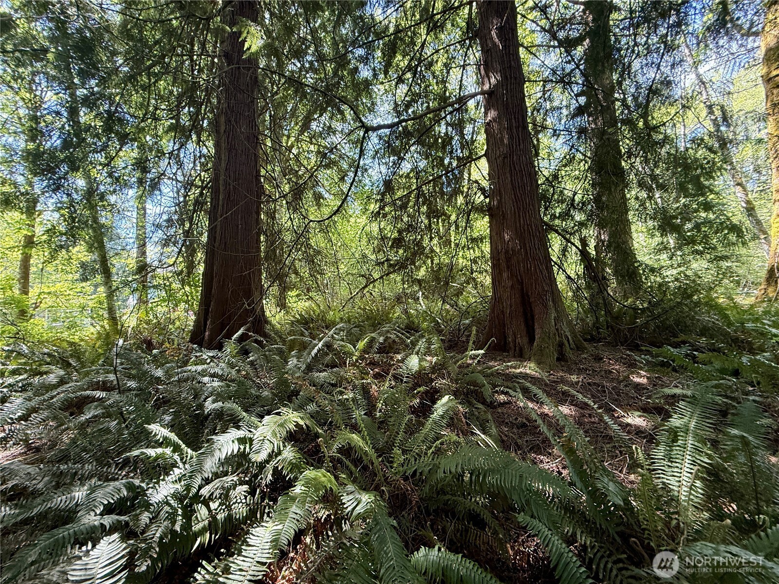 5162 Phillips Road SE, Port Orchard, WA 98367