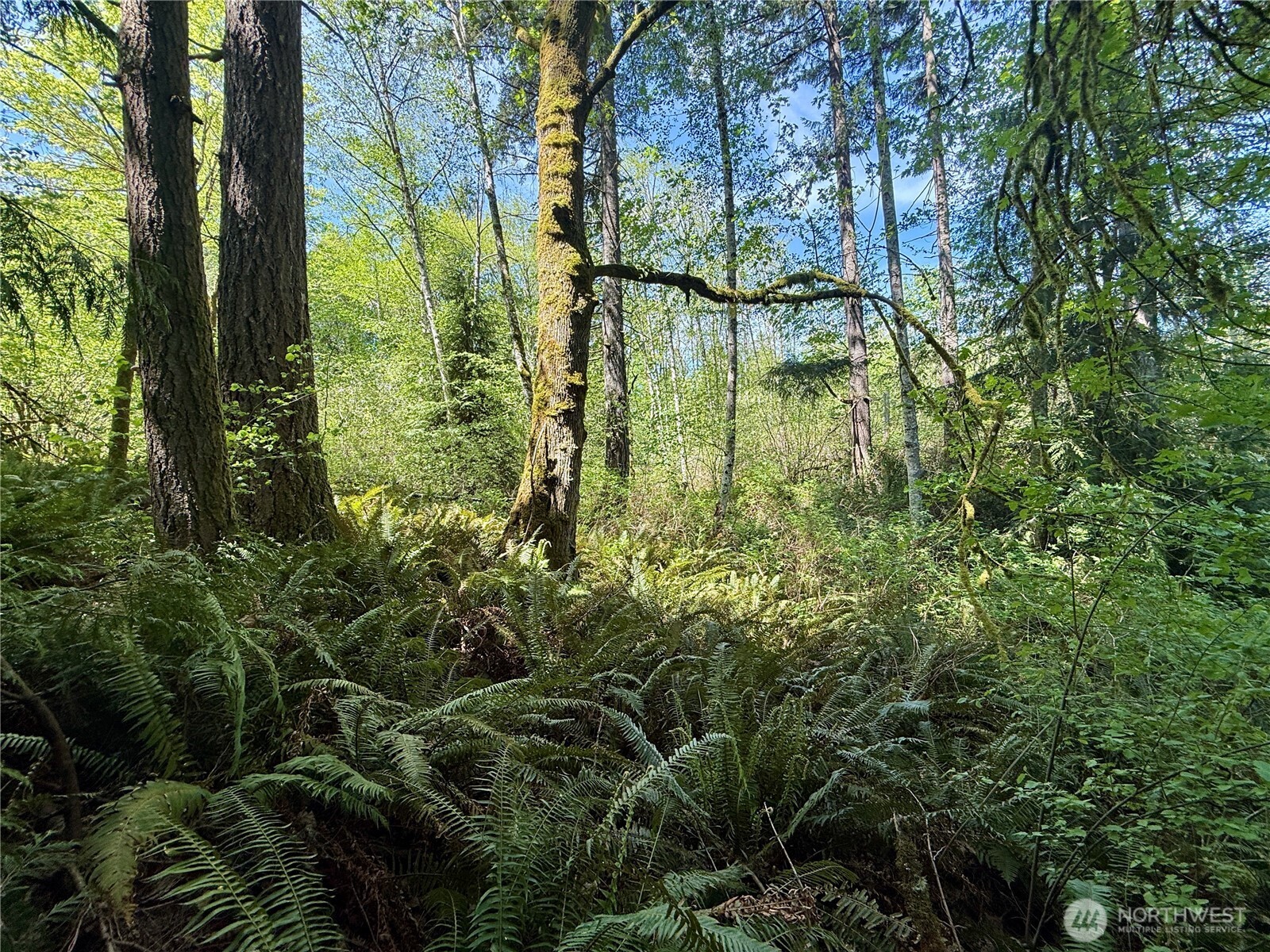 5162 Phillips Road SE, Port Orchard, WA 98367