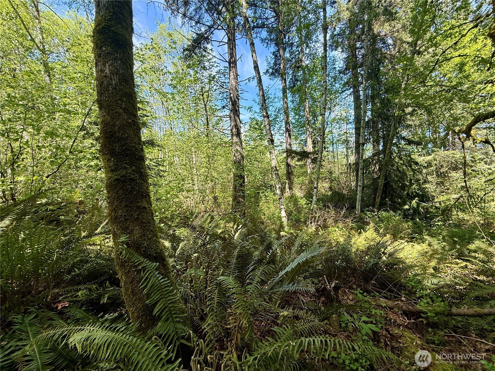 5162 Phillips Road SE, Port Orchard, WA 98367
