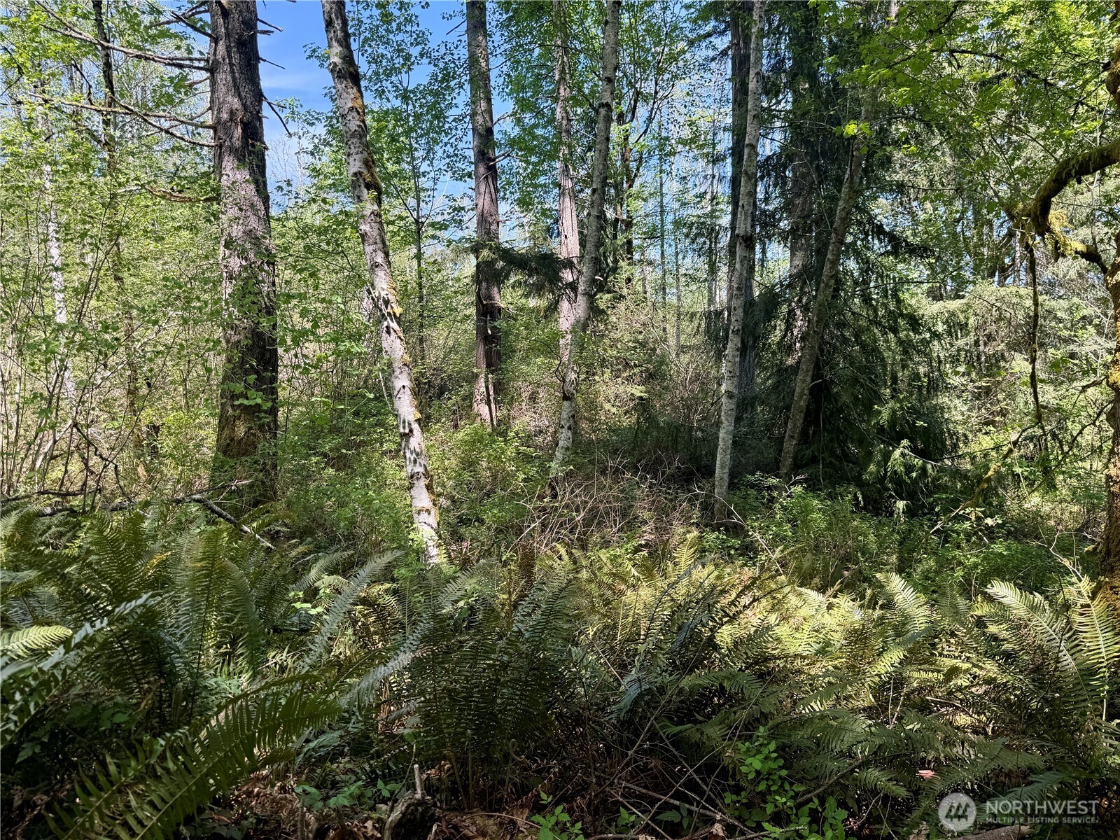 5162 Phillips Road SE, Port Orchard, WA 98367