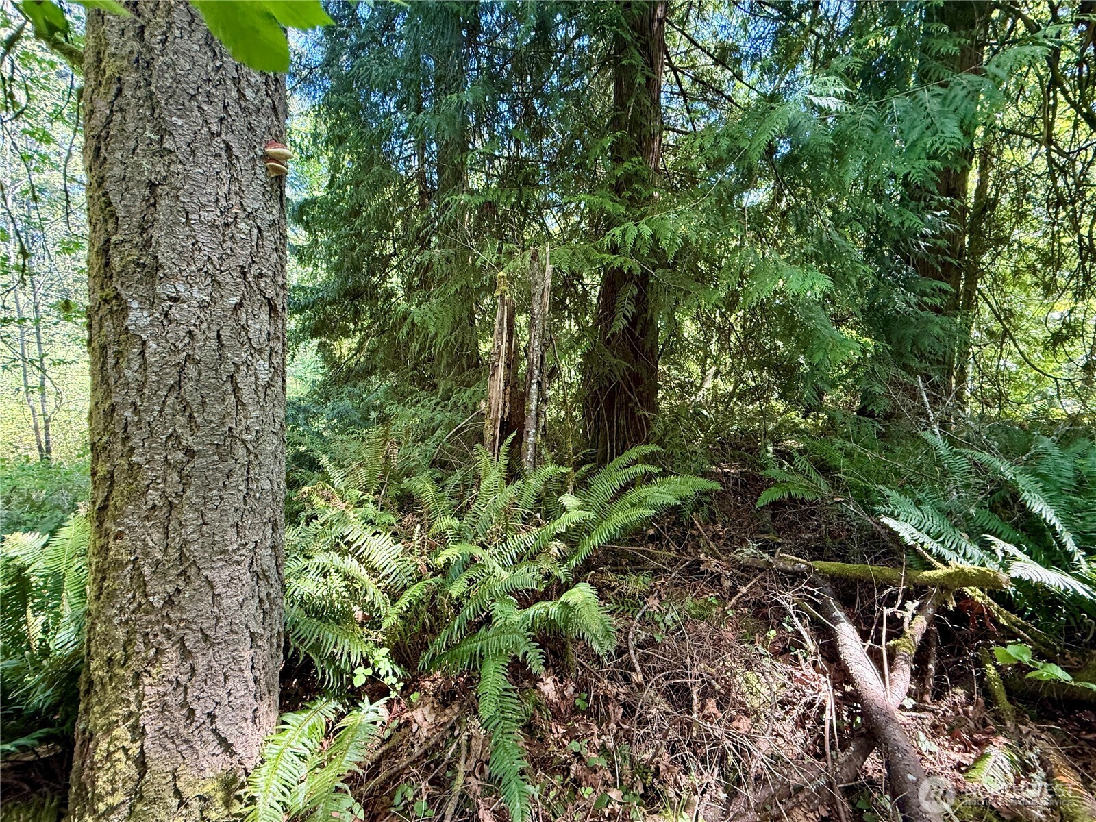 5162 Phillips Road SE, Port Orchard, WA 98367