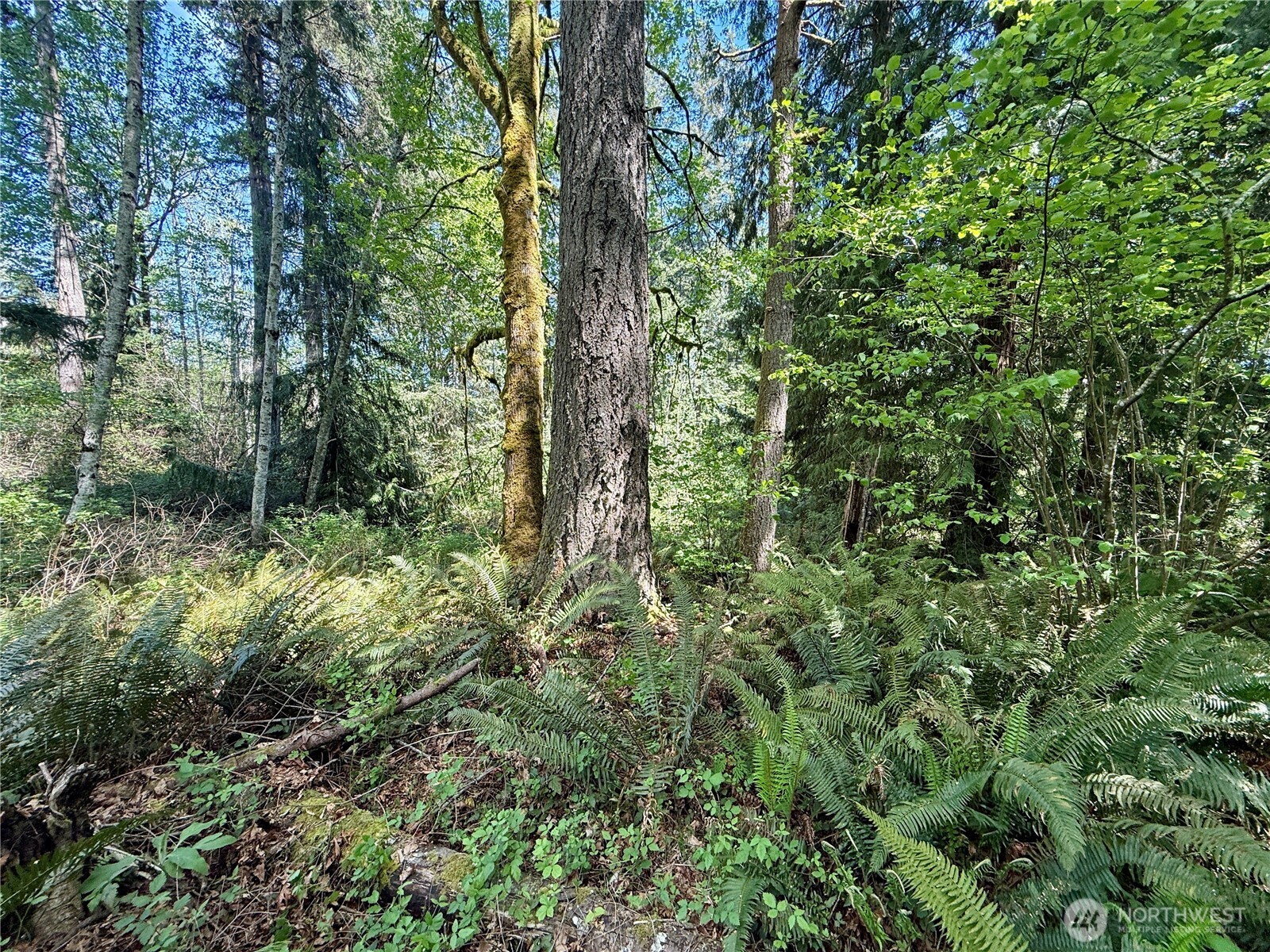 5162 Phillips Road SE, Port Orchard, WA 98367