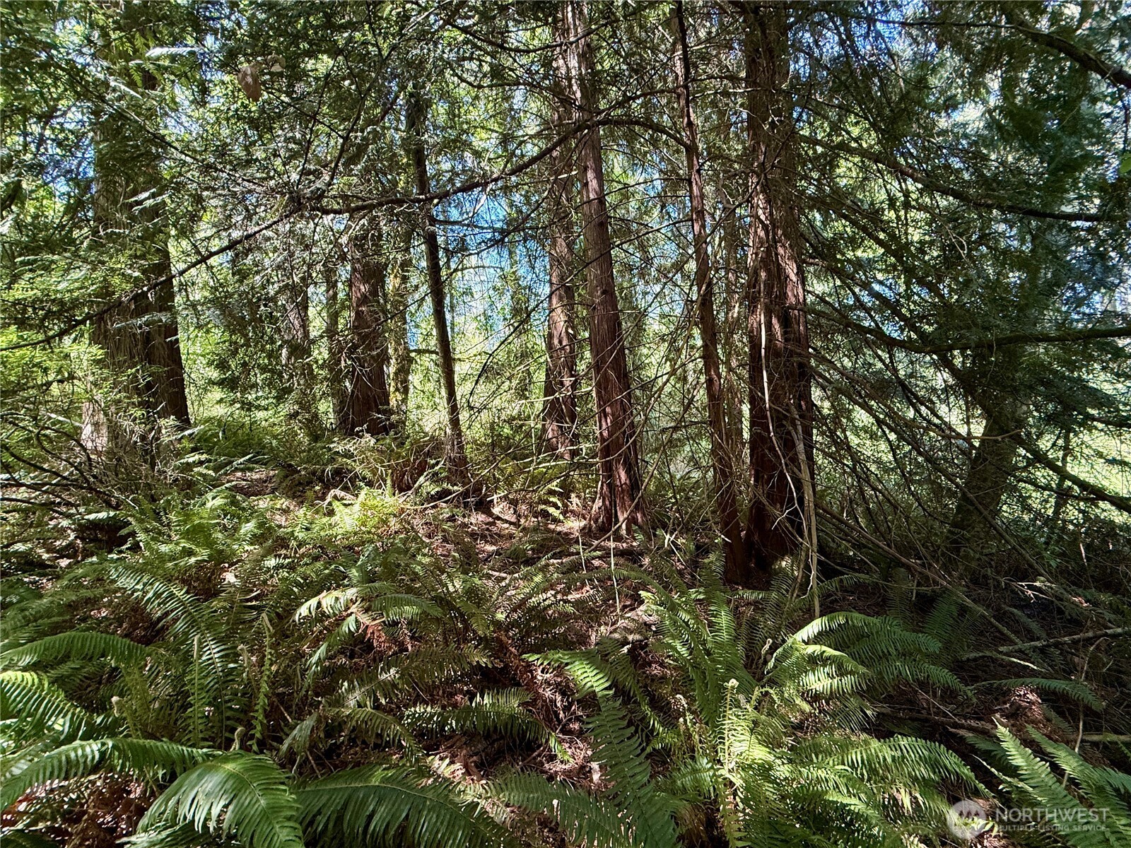 5162 Phillips Road SE, Port Orchard, WA 98367