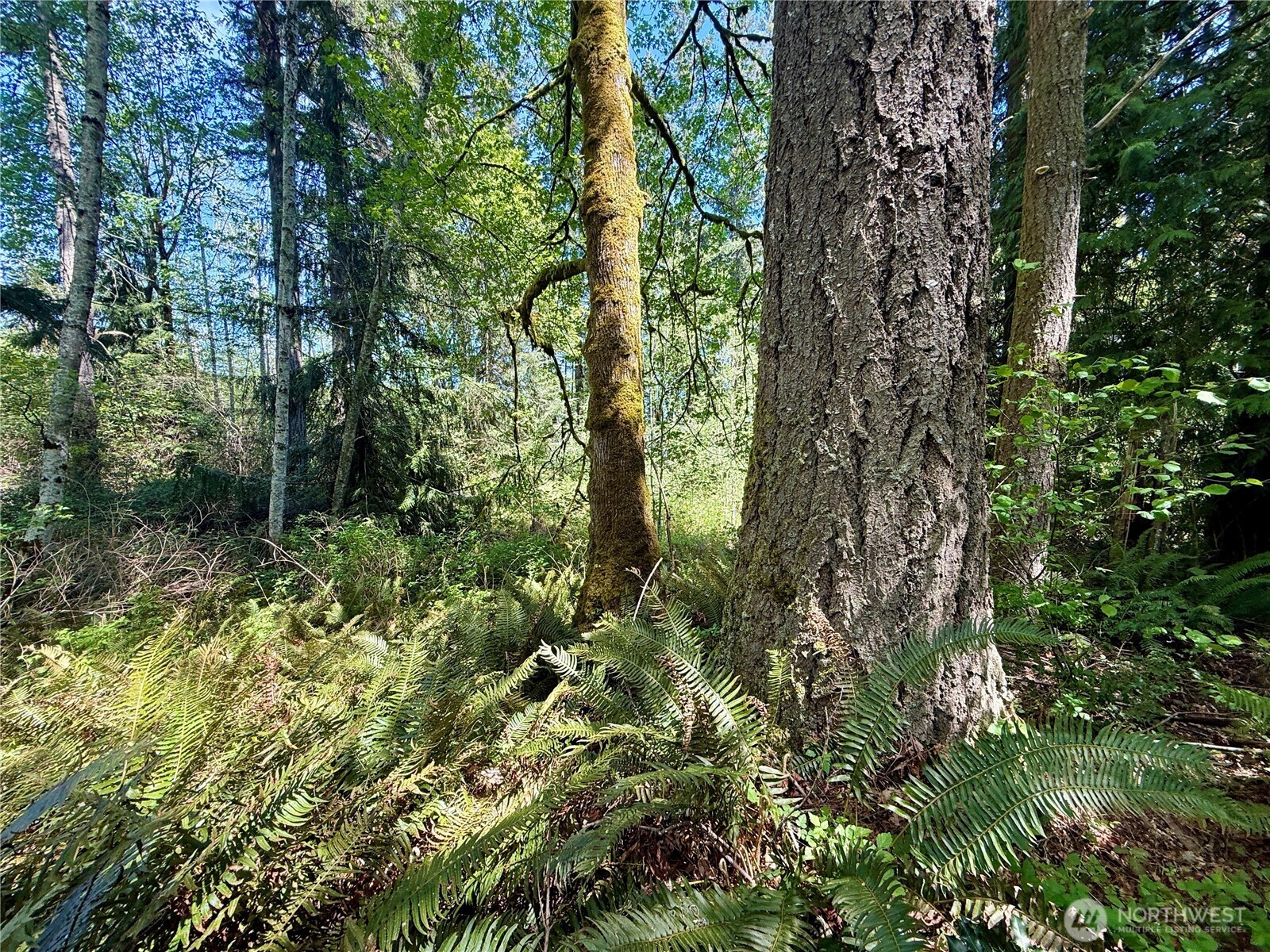 5162 Phillips Road SE, Port Orchard, WA 98367