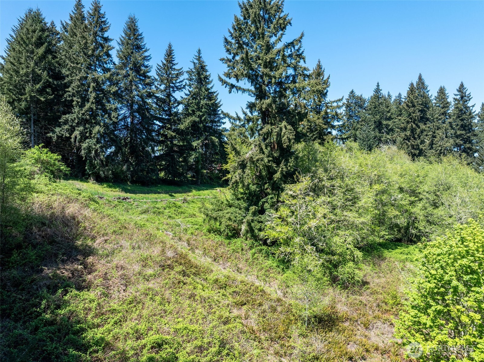 398 Byrd St , Centralia, WA 98531
