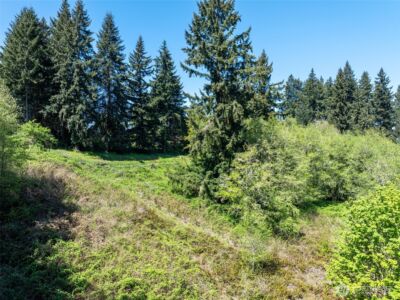 398 Byrd St , Centralia, WA 98531 - Photo 11