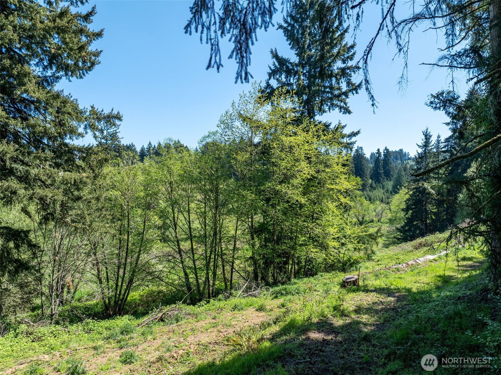398 Byrd St , Centralia, WA 98531