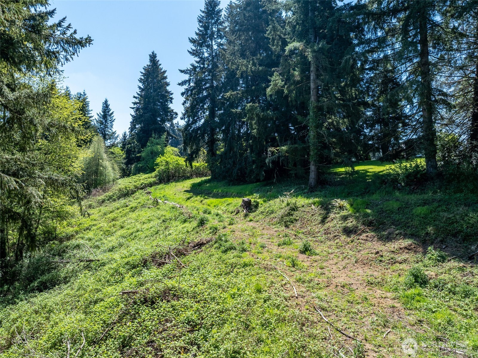 398 Byrd St , Centralia, WA 98531