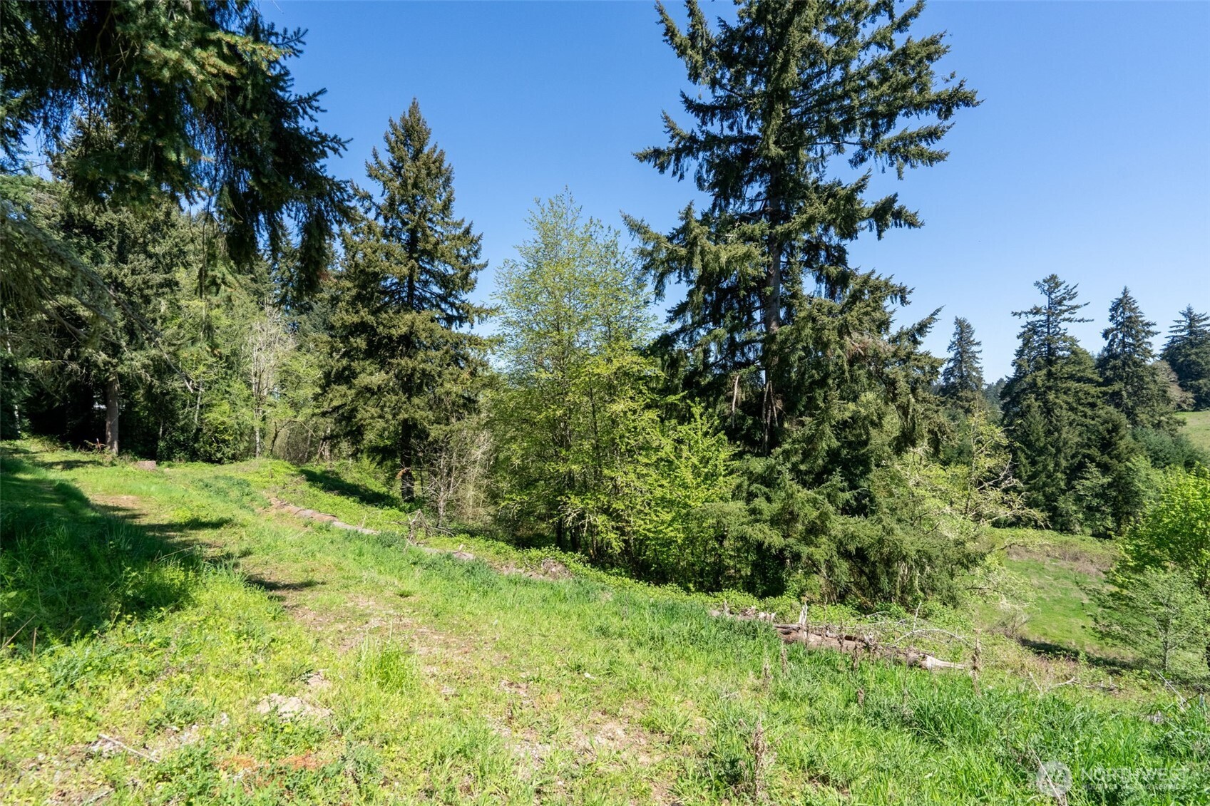 398 Byrd St , Centralia, WA 98531