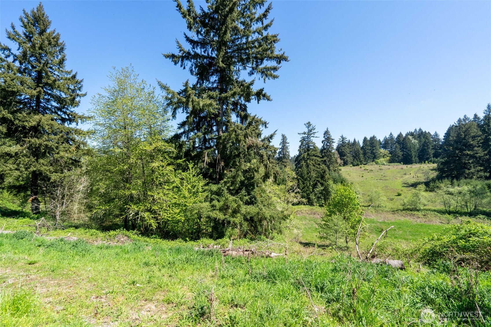 398 Byrd St , Centralia, WA 98531