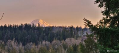 2540 Forest Ridge Drive SE, Auburn, WA 98002 - Photo 37