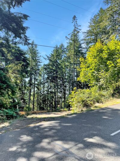 111 N Colony Surf Drive , Lilliwaup, WA 98555 - Photo 18