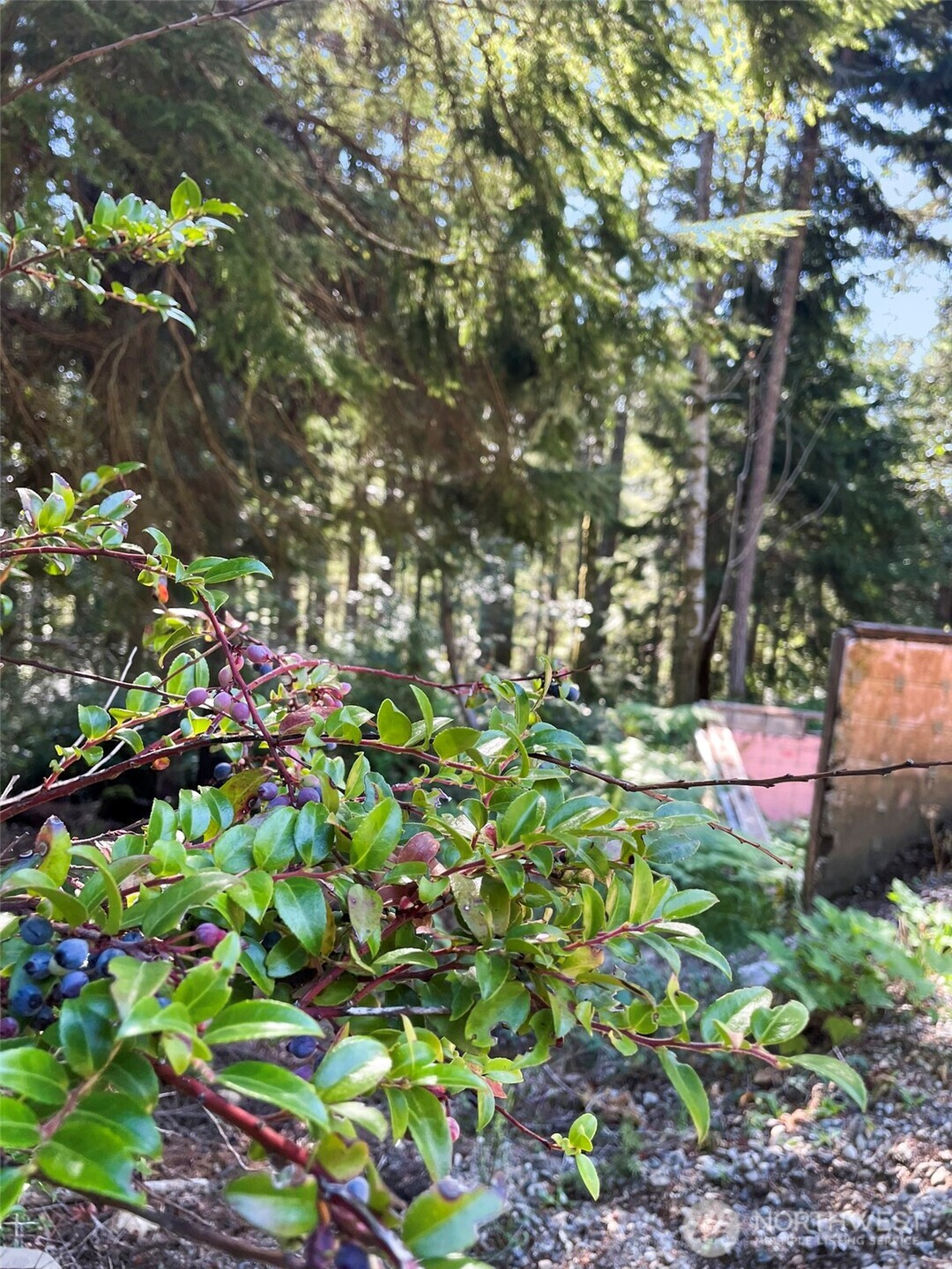 111 N Colony Surf Drive , Lilliwaup, WA 98555