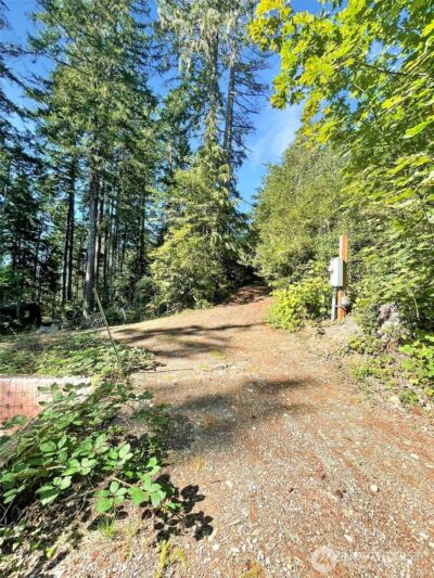 111 N Colony Surf Drive , Lilliwaup, WA 98555 - Photo 8