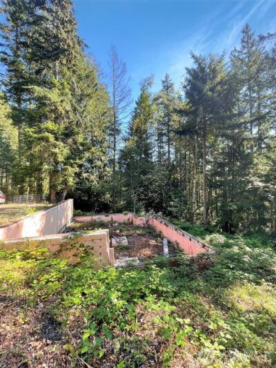 111 N Colony Surf Drive , Lilliwaup, WA 98555 - Photo 10