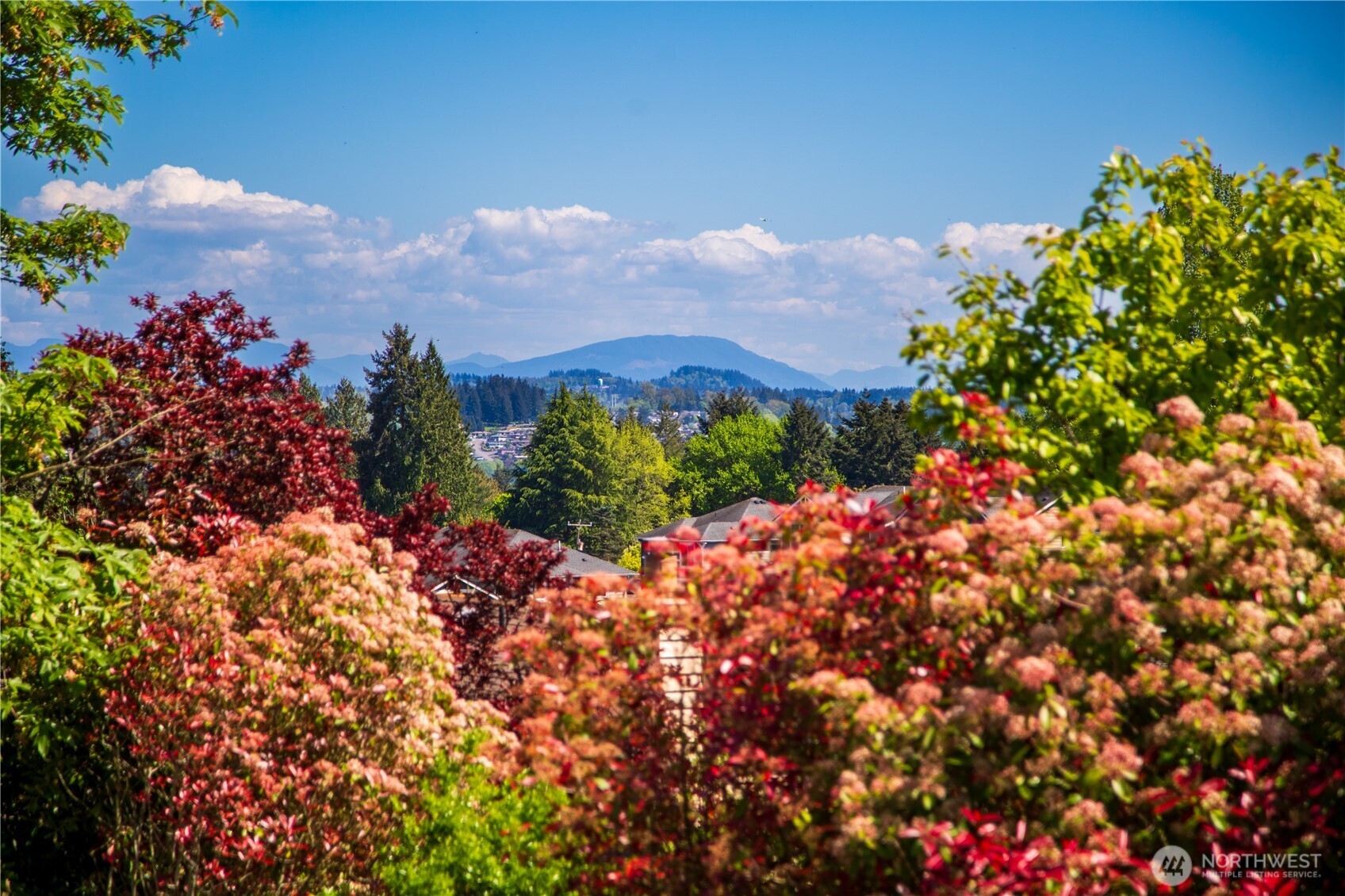 7827 S 114th Street , Seattle, WA 98178