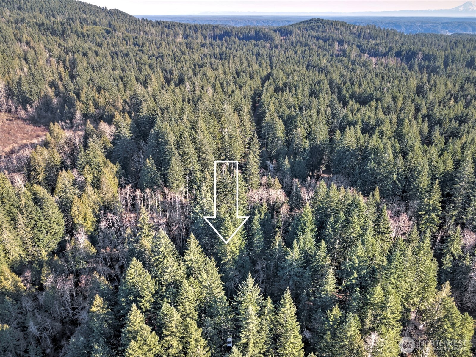 91 N Wigeon Place , Hoodsport, WA 98584