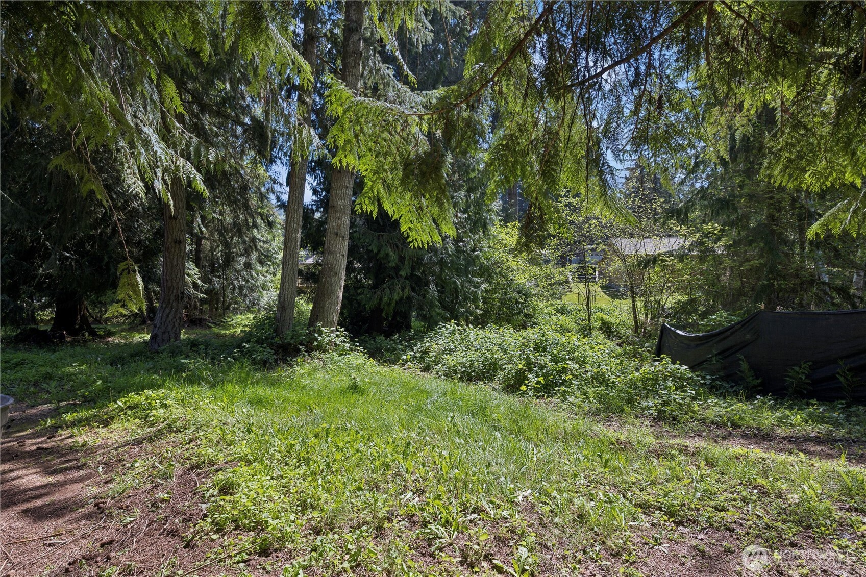 230 Home Town Drive , Kelso, WA 98626