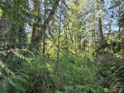 0 Falls Road , Randle, WA 98377