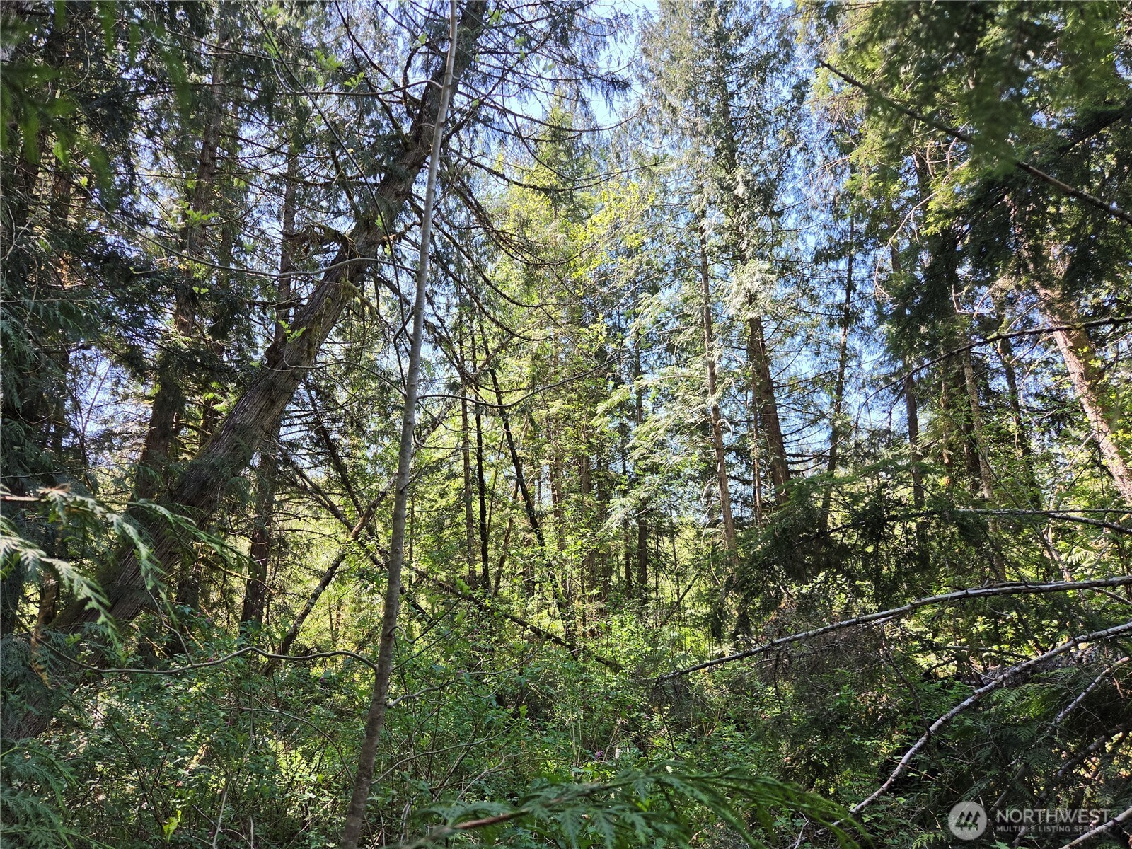 0 Falls Road , Randle, WA 98377