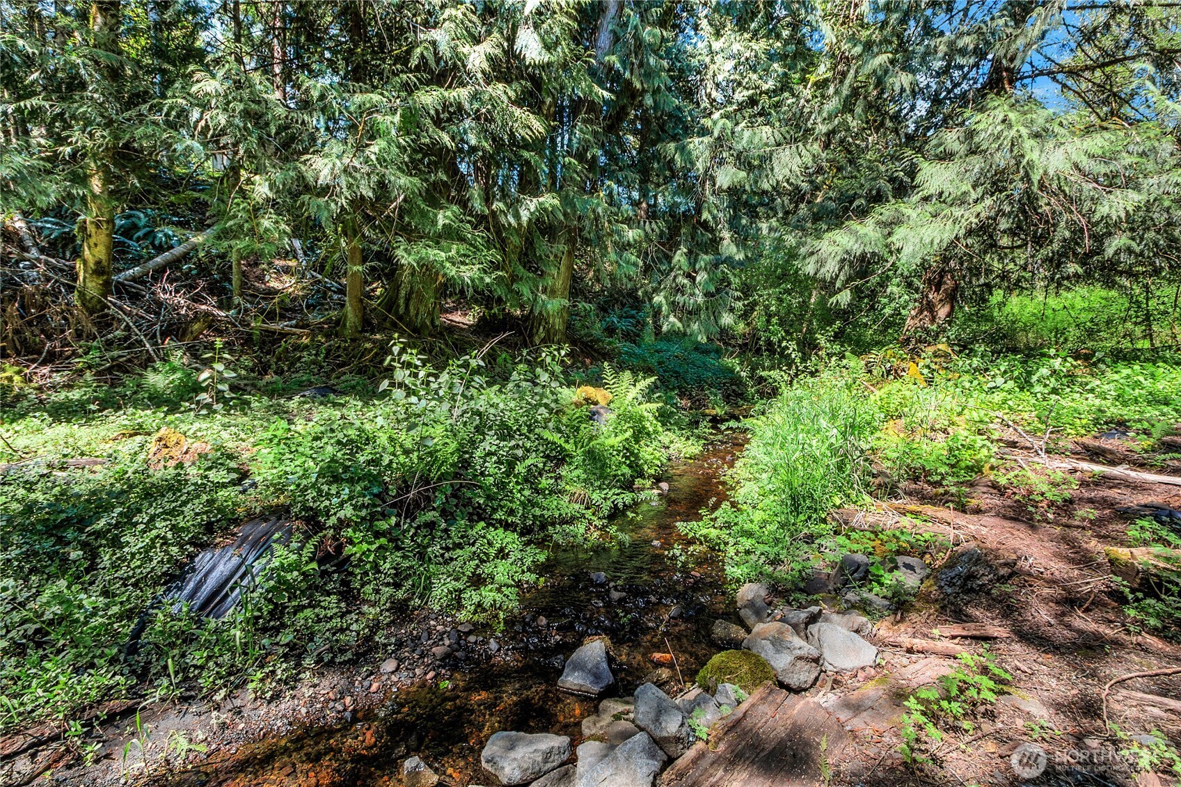 126 Osborn Rd , Ashford, WA 98304