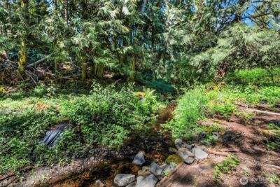 126 Osborn Rd , Ashford, WA 98304 - Photo 17