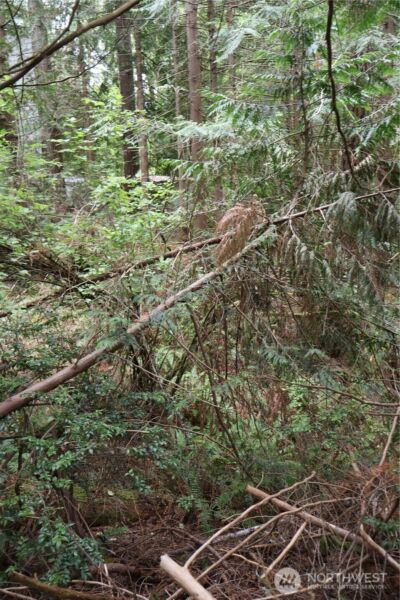 3659 Green Mountain Road NW, Bremerton, WA 98312 - Photo 24