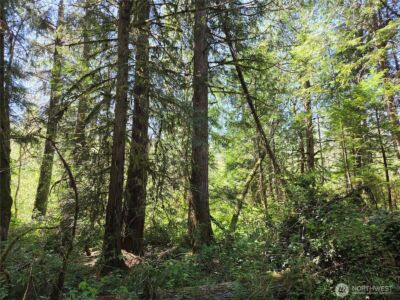 0 Falls Road , Randle, WA 98377