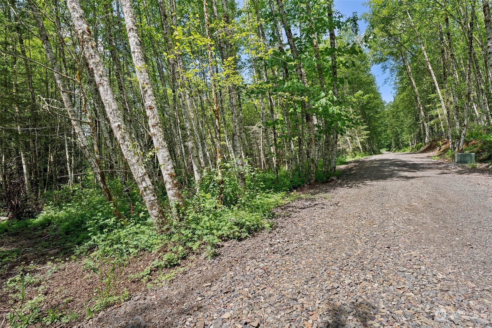 178 Owl Creek Lane , Morton, WA 98356