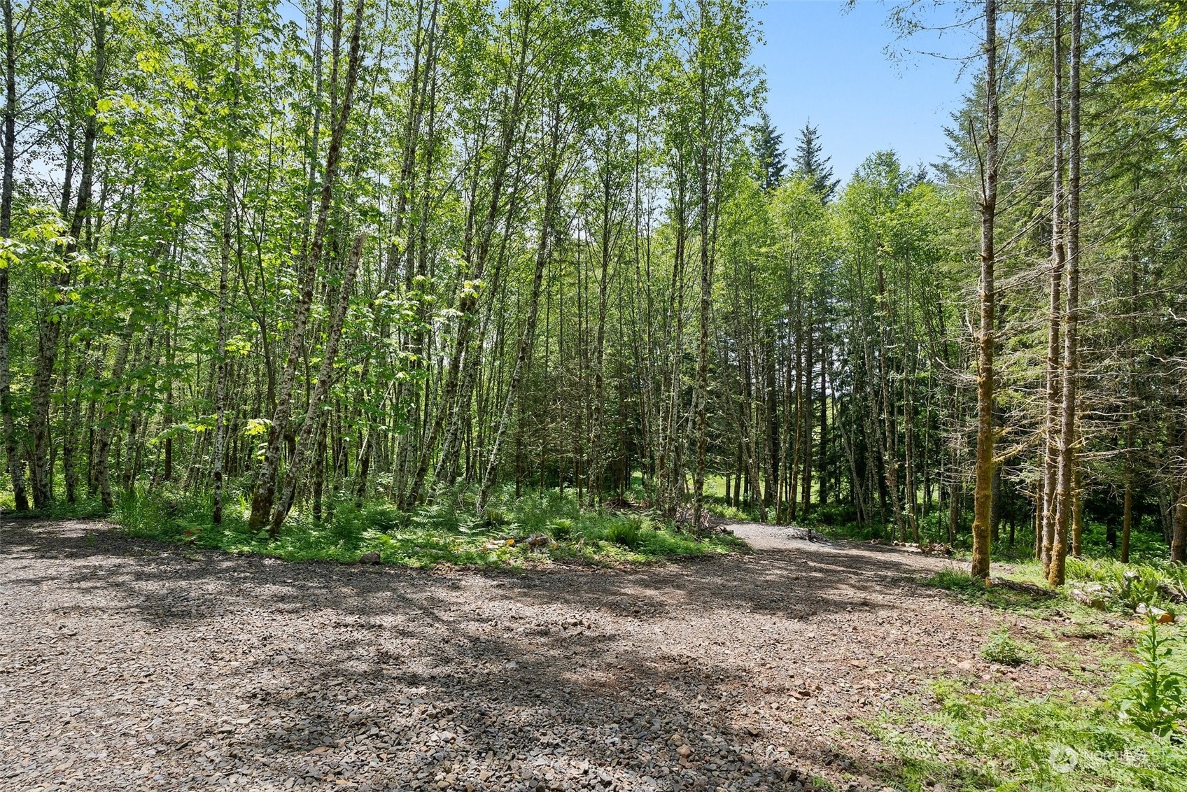 178 Owl Creek Lane , Morton, WA 98356