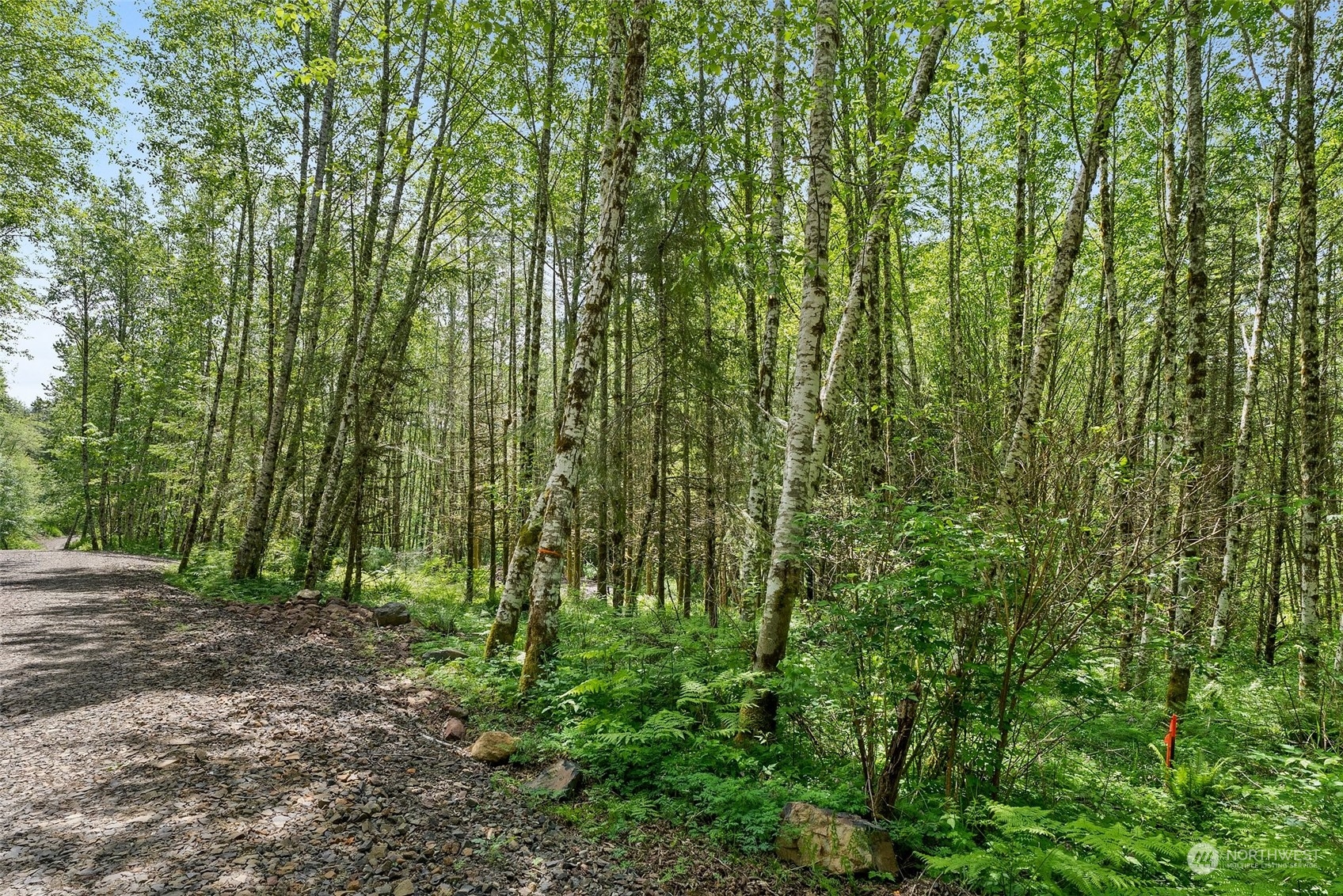 178 Owl Creek Lane , Morton, WA 98356