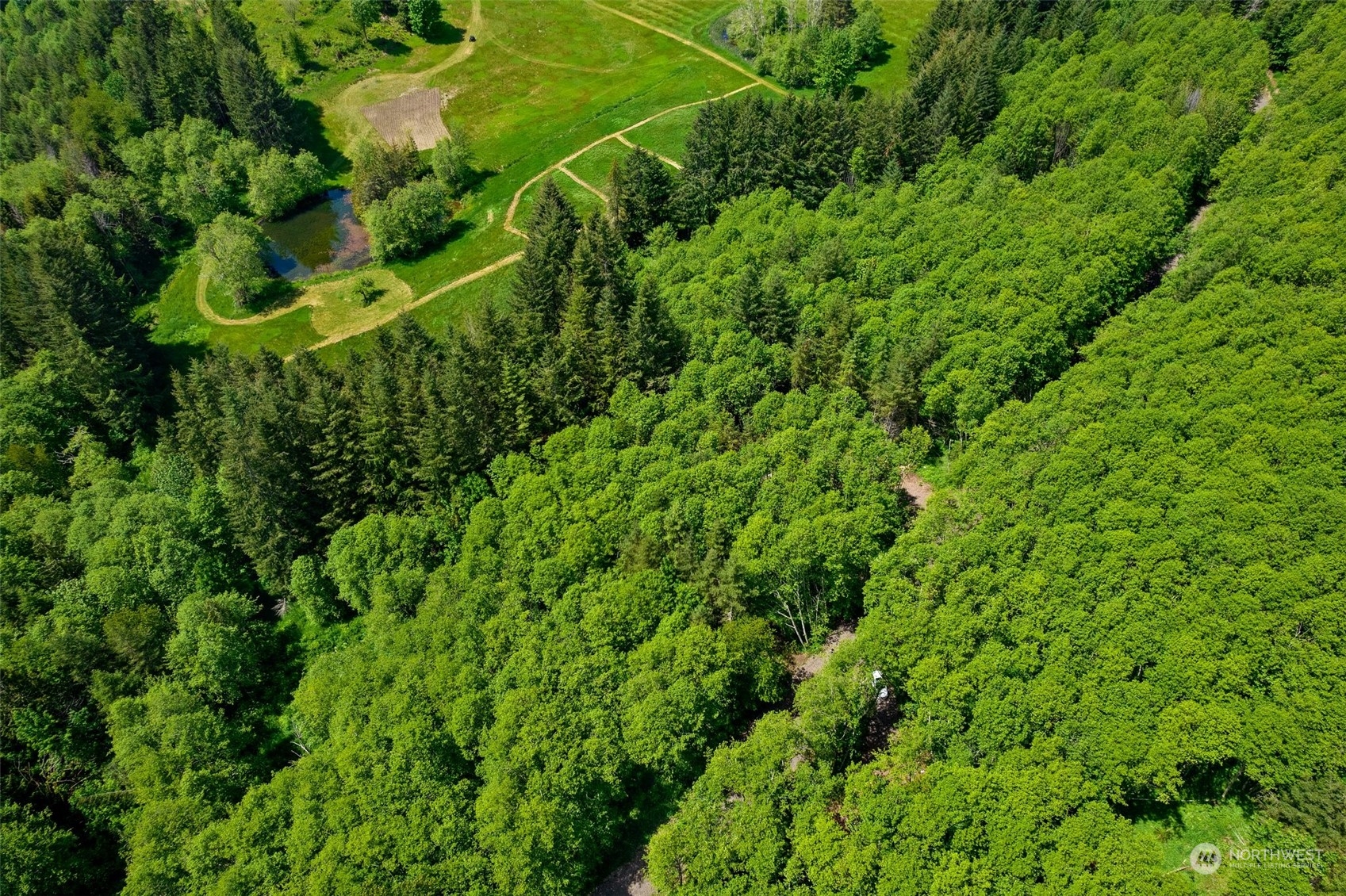 178 Owl Creek Lane , Morton, WA 98356