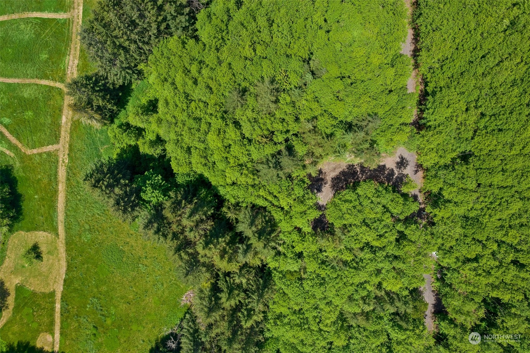 178 Owl Creek Lane , Morton, WA 98356