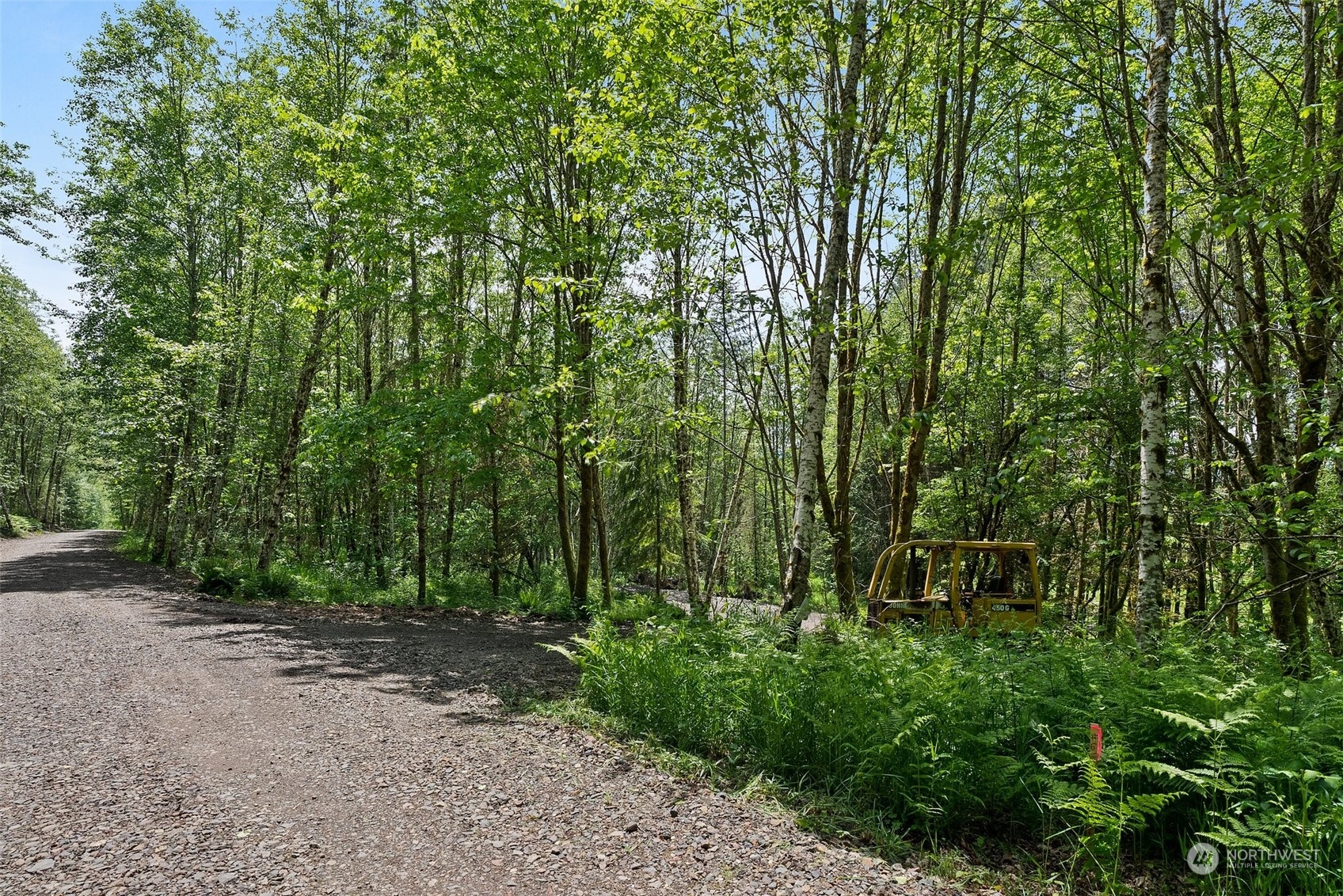 162 Owl Creek Lane , Morton, WA 98356