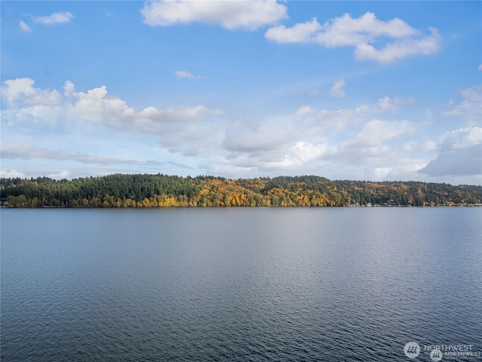 14026 Riviera Place NE, Seattle, WA 98125