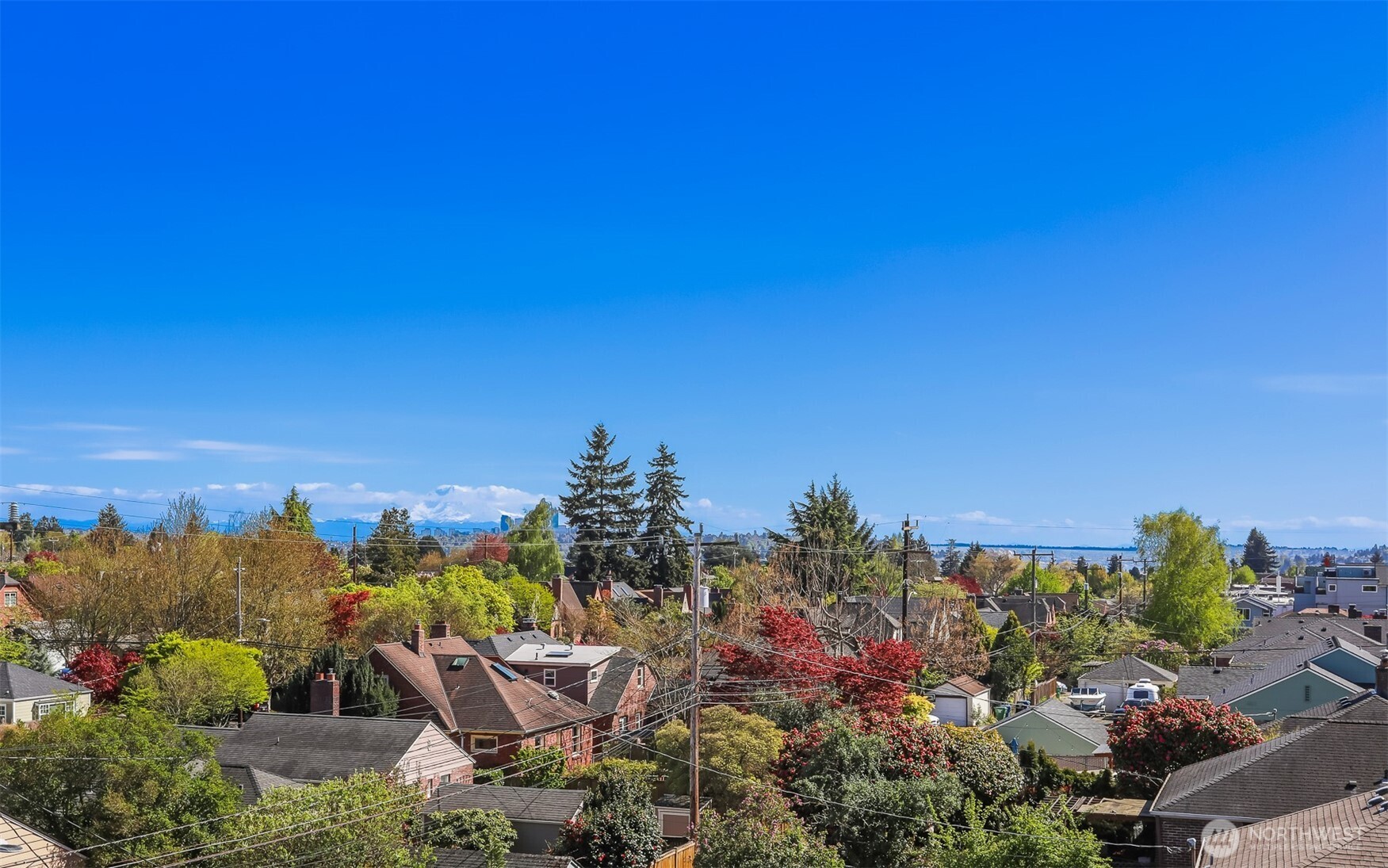 8328 24th Avenue NW, Seattle, WA 98117
