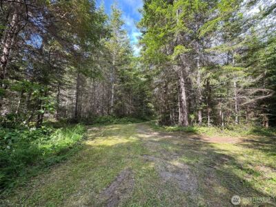 9999 Blue Mountain Road , Port Angeles, WA 98362 - Photo 11