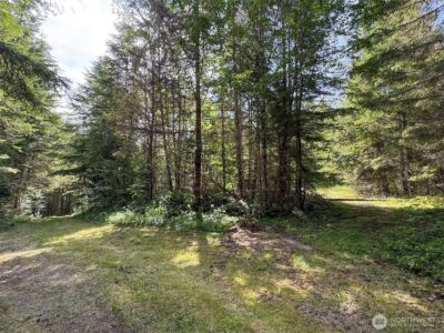 9999 Blue Mountain Road , Port Angeles, WA 98362 - Photo 12
