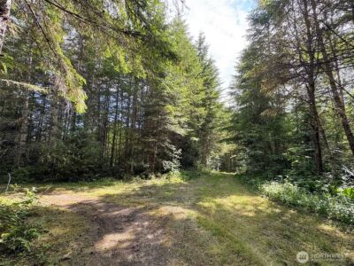 9999 Blue Mountain Road , Port Angeles, WA 98362 - Photo 13