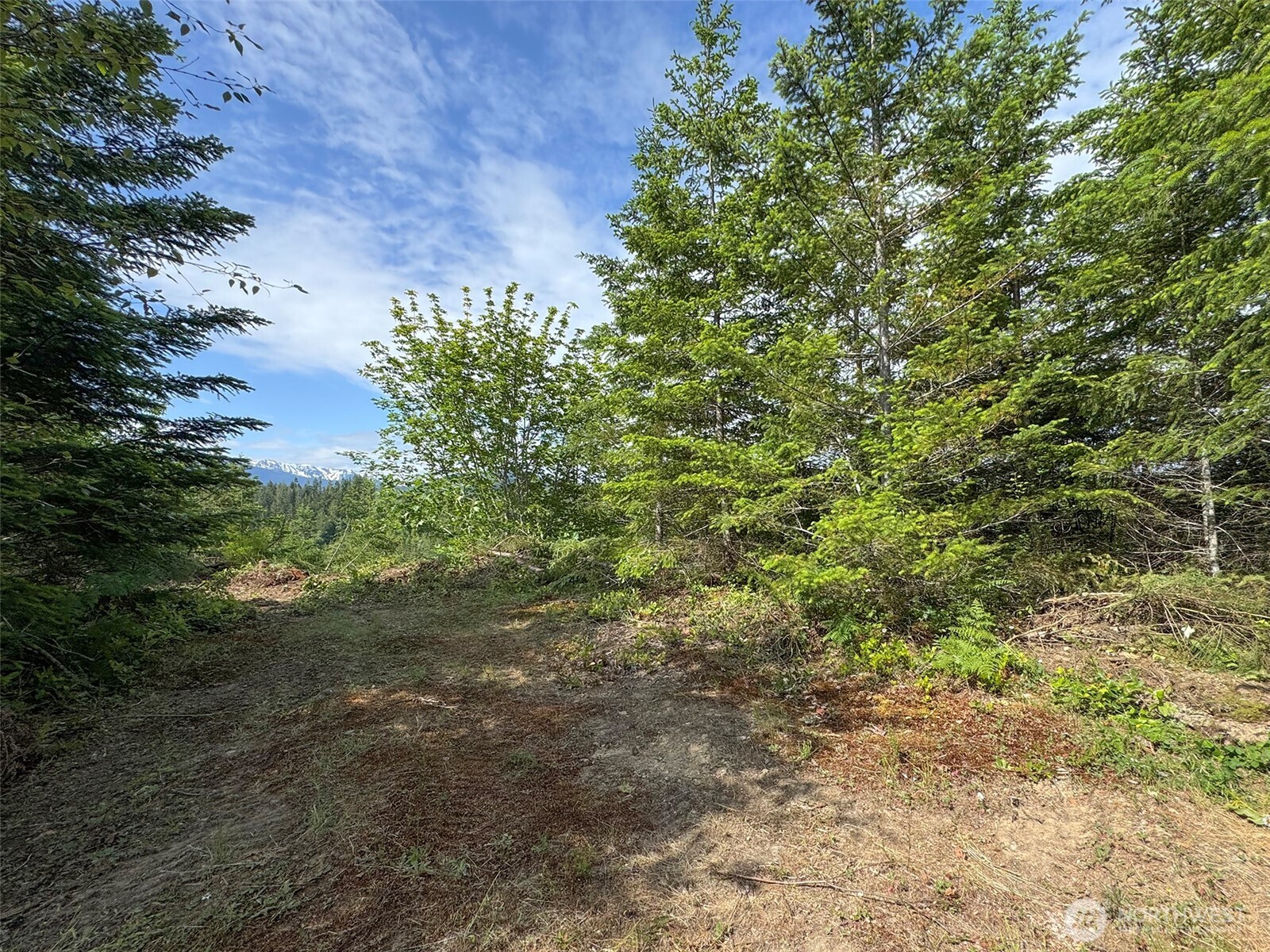 9999 Blue Mountain Road , Port Angeles, WA 98362
