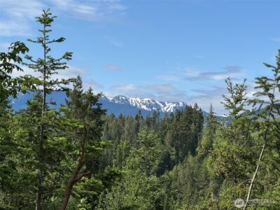 9999 Blue Mountain Road , Port Angeles, WA 98362 - Photo 15